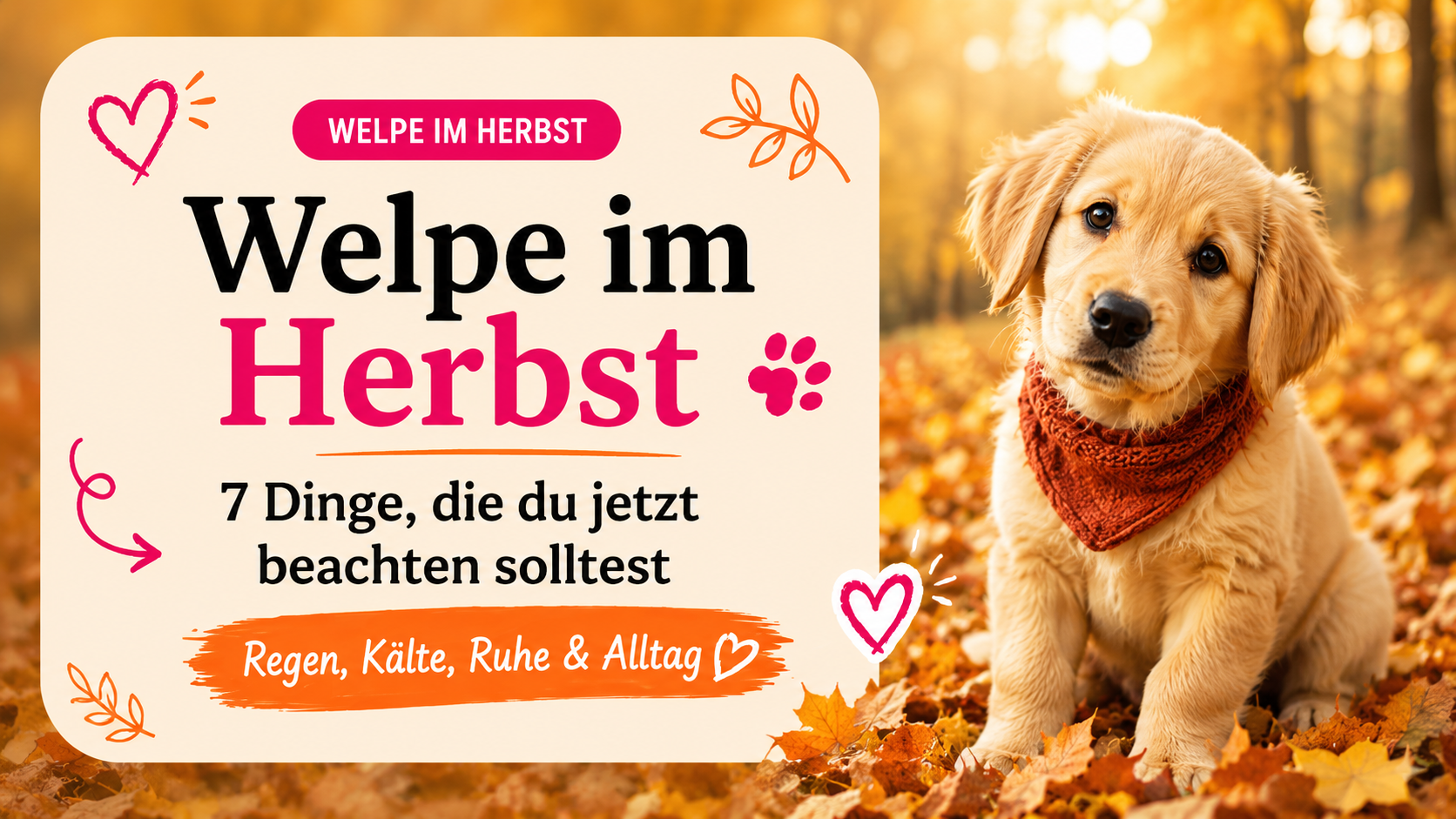 Welpe im Herbst: 7 Dinge, die du jetzt beachten solltest