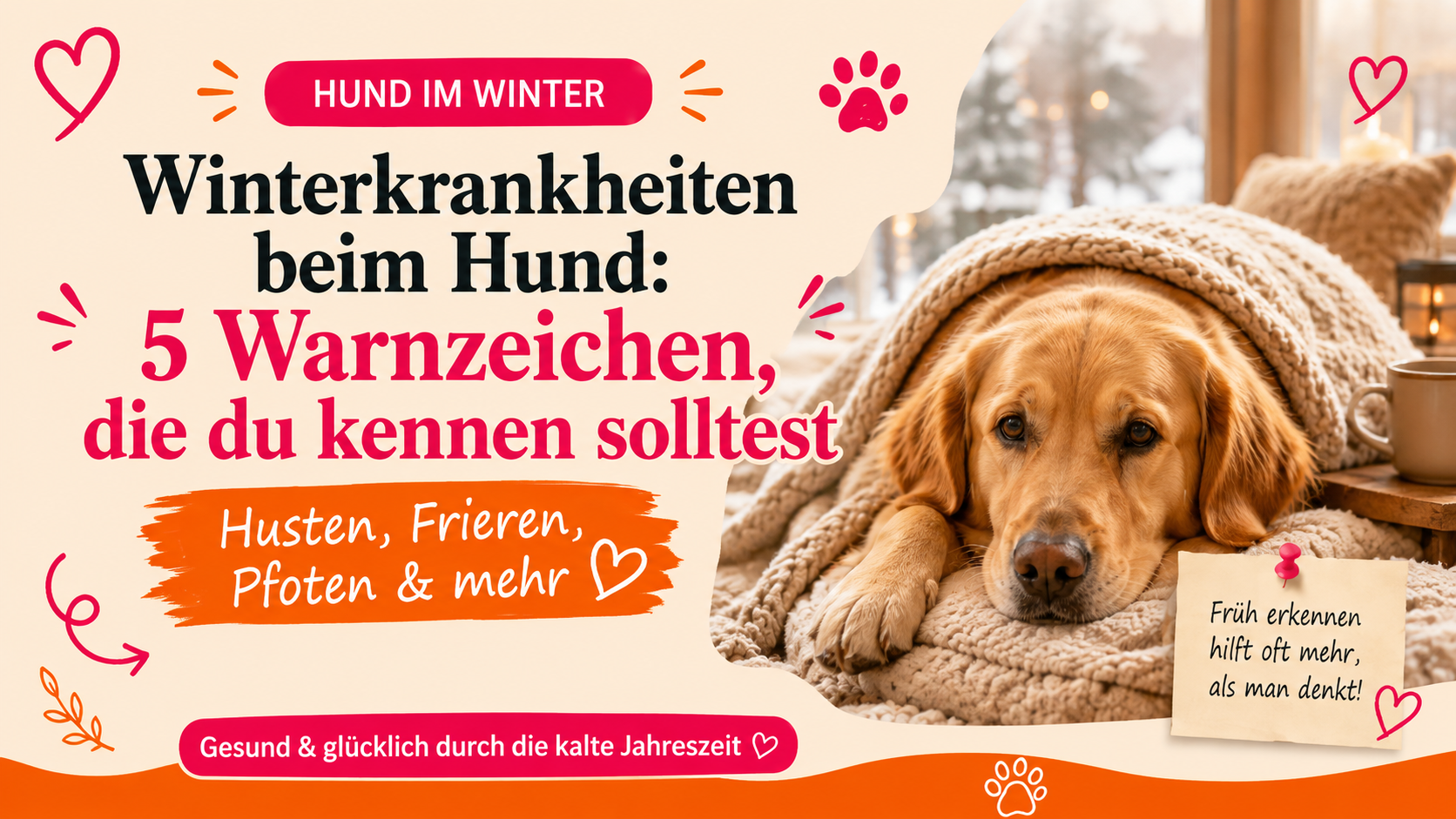 Winterkrankheiten beim Hund: 5 Warnzeichen, die du kennen solltest